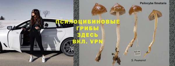 молекула духа Беломорск