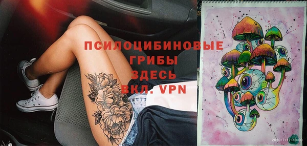 прущие крисы Белокуриха