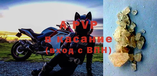 прущие крисы Белокуриха