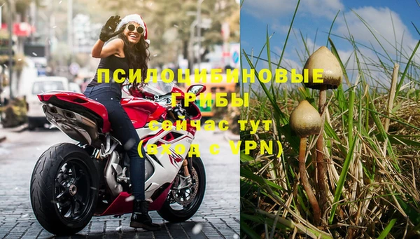 прущие крисы Белокуриха