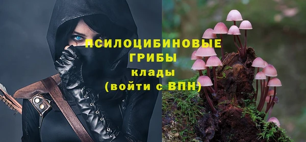 прущие крисы Белокуриха