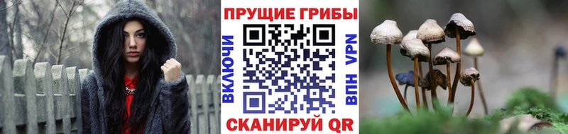Псилоцибиновые грибы мухоморы это состав Олёкминск гидра вход